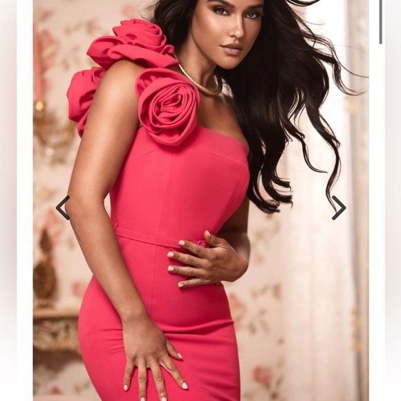 Aliava RONA 3D FLOWERS CORSET MAXI GOWN (FUCHSIA) - Picture 2 of 7